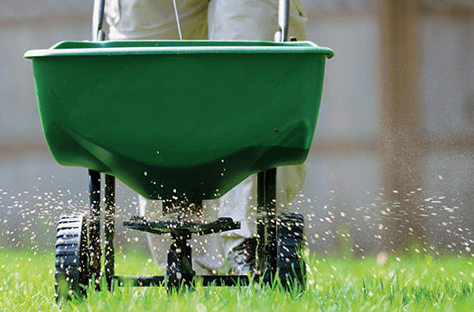 Broadcast spreader applying fertilizer to a lawn