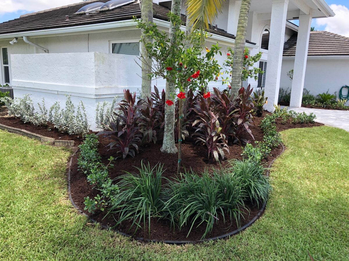 Curved planting bed with palms, flowering shrubs, and fresh mulch